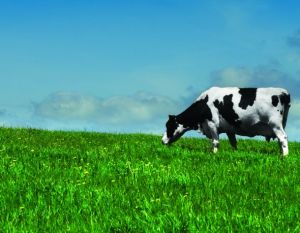 Coles launches new 'Farmers' Fund' milk